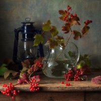 с калиной... :: Natali-C C