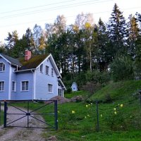 ПУШКИНСКИЕ ГОРЫ :: Виктор Осипчук