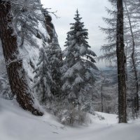 Зимние Столбы :: Марина Фомина.