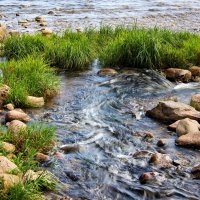 Финский залив,Петергоф :: Laryan1 