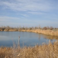 **** :: Виктор 