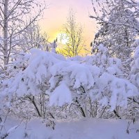 - :: Владимир Мигонькин