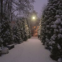 *** :: Сергей Григорьев