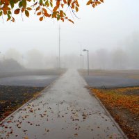 И снова вместо снега лишь туман холодный... :: Андрей Заломленков