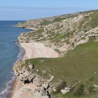 Природа Крыма :: Amazing Cosmea