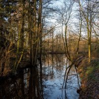 По речке... :: Николай Гирш