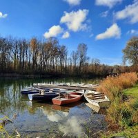 Ноябрь уходит, ветром унося. Тепла осенних дней воспоминанья.... :: Галина 