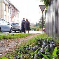 Городской сюжет :: Марина Кушнарева