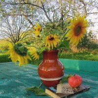 Солнечный   Сентябрь... :: Галина Кузьмина