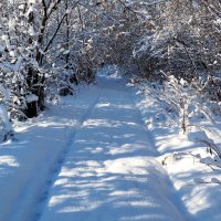 В гостях у сказки!!! :: Радмир Арсеньев