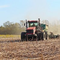 Прямая обработка почвы :: Надежда Парфенова Прямая обработка почвы :: Надежда Парфенова