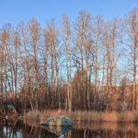 *** :: Ольга Попова (popova/j2011)