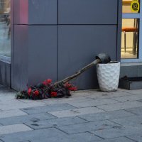 *** :: Наталья Вязигина