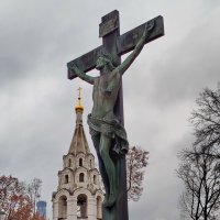 На сером фоне :: Александр Чеботарь