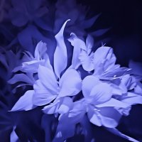 Ночной этюд :: Владилен Панченко