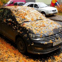 Засыпало :: Надежда 