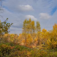Палитра октября... :: Владимир Жданов