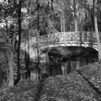 Гатчинский парк :: Наталья 