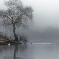 *** :: Владимир Безбородов