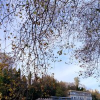 Река Сочи :: Tata Wolf Река Сочи :: Tata Wolf