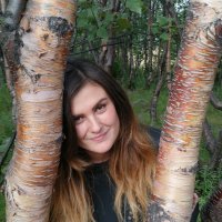 северные березки :: Артём 