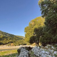 Каменные останки древностей :: Георгиевич Каменные останки древностей :: Георгиевич