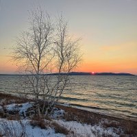 Солнце встаёт... :: Ирина *