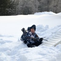 Поваляться в снегу - это счастье! :: Татьяна Лютаева