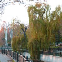 Природа  Крыма :: Валентин Семчишин