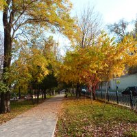 Осень золотая :: Валентин Семчишин