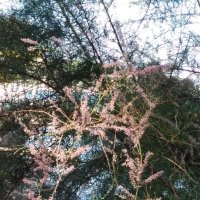 У моря :: Натали 