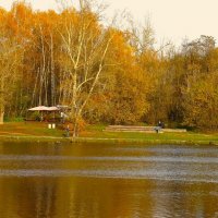 КРАСОЧНАЯ ОСЕНЬ У ПРУДА :: Валентина 