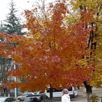 *** :: Валентина Береснева