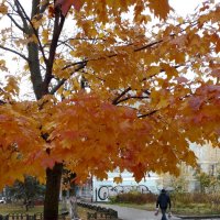 *** :: Валентина Береснева