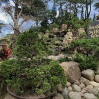 В парке монастыря Чук Лам. Далат. :: Людмила Гулина