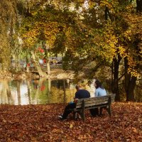 Осенние посиделки :: Юрий. Шмаков