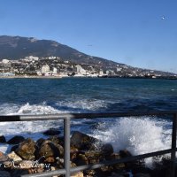 Природа Крыма :: Amazing Cosmea