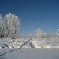 Зима :: Anna Ivanova