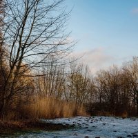 Январское... :: Николай Гирш