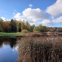 Камыш не шумел, деревья не гнулись ☺ - тишь да гладь. :: Лия ☼ Камыш не шумел, деревья не гнулись ☺ - тишь да гладь. :: Лия ☼