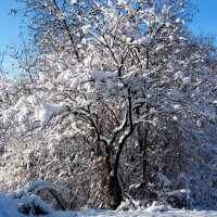 Прекрасный день!!! :: Радмир Арсеньев Прекрасный день!!! :: Радмир Арсеньев