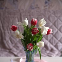 ... :: Снежанна Родионова