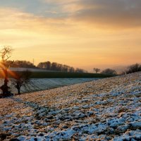 sunset :: Elena Wymann