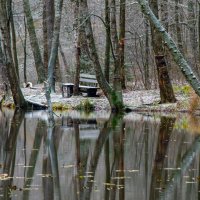 Предзимье............... :: Юрий Цыплятников