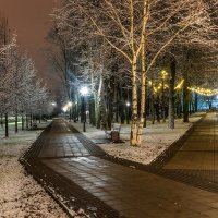 *** :: Анатолий. Chesnavik.