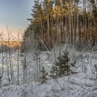 Лес, река, зима. :: Александр Иванович Шитов