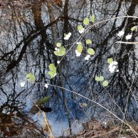 Ноябрь :: Наталья Герасимова