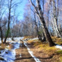 Байкальские тропинки :: Евгений 