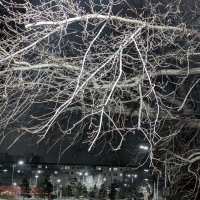 Ночь,улица,фонарь,аптека... :: Андрей Хлопонин Ночь,улица,фонарь,аптека... :: Андрей Хлопонин