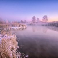 Морозное утро :: Vladimbormotov